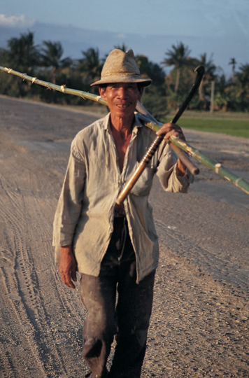 Highway 1 was a mellow affair in 1993.